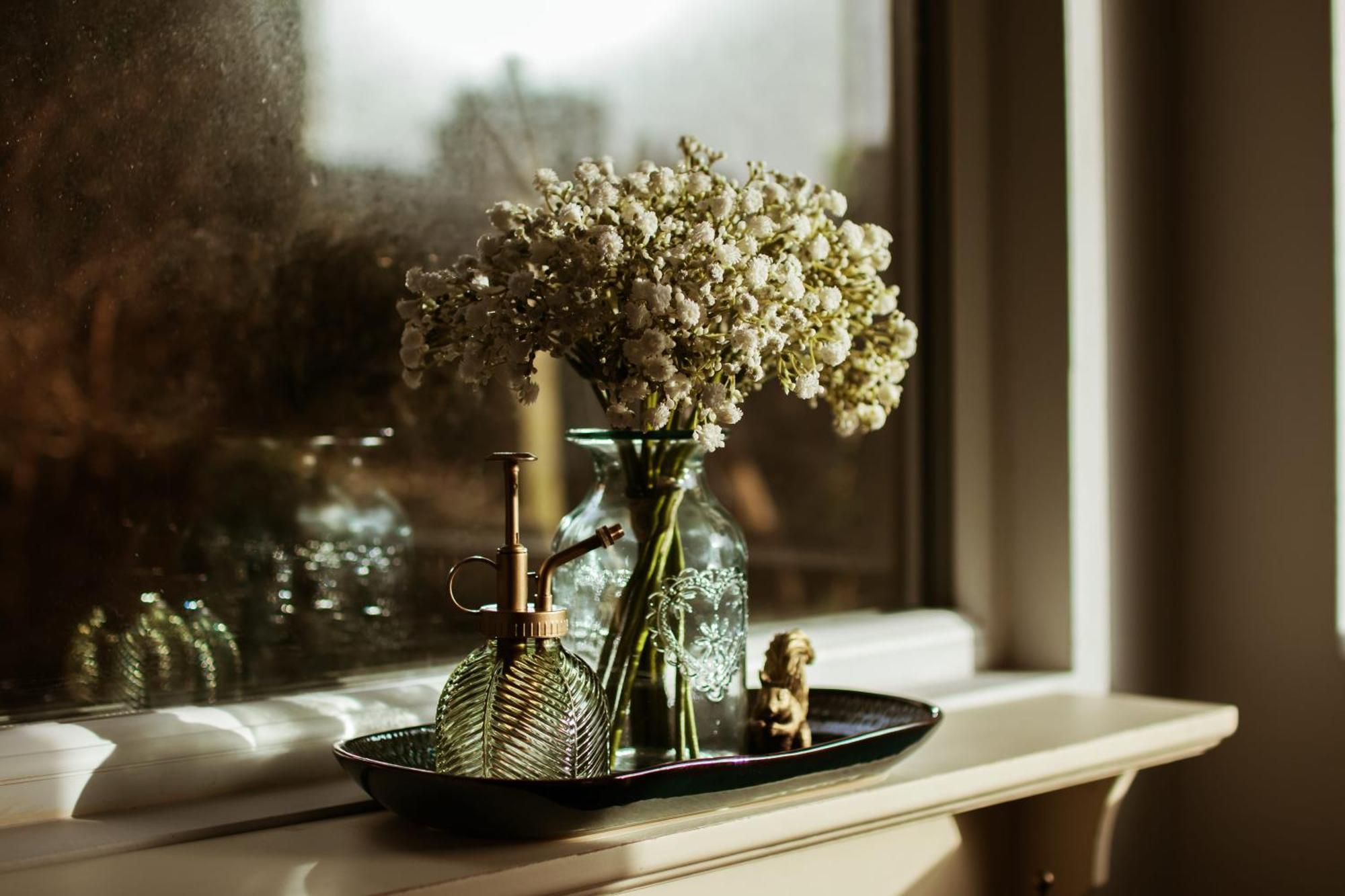 Cosy, Coastal Cottage In Snowdonia ハーレック エクステリア 写真